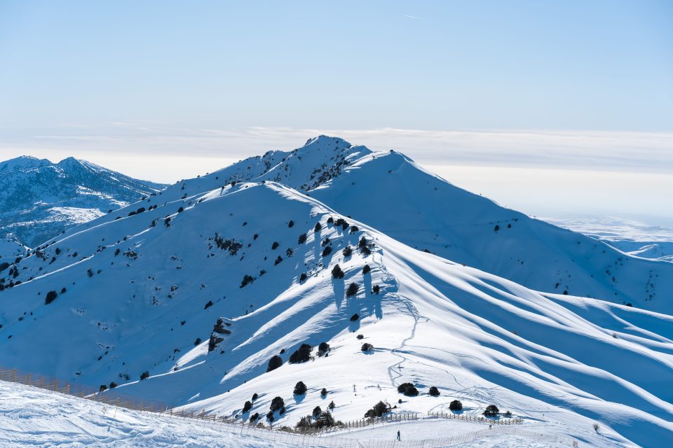 Amirsay