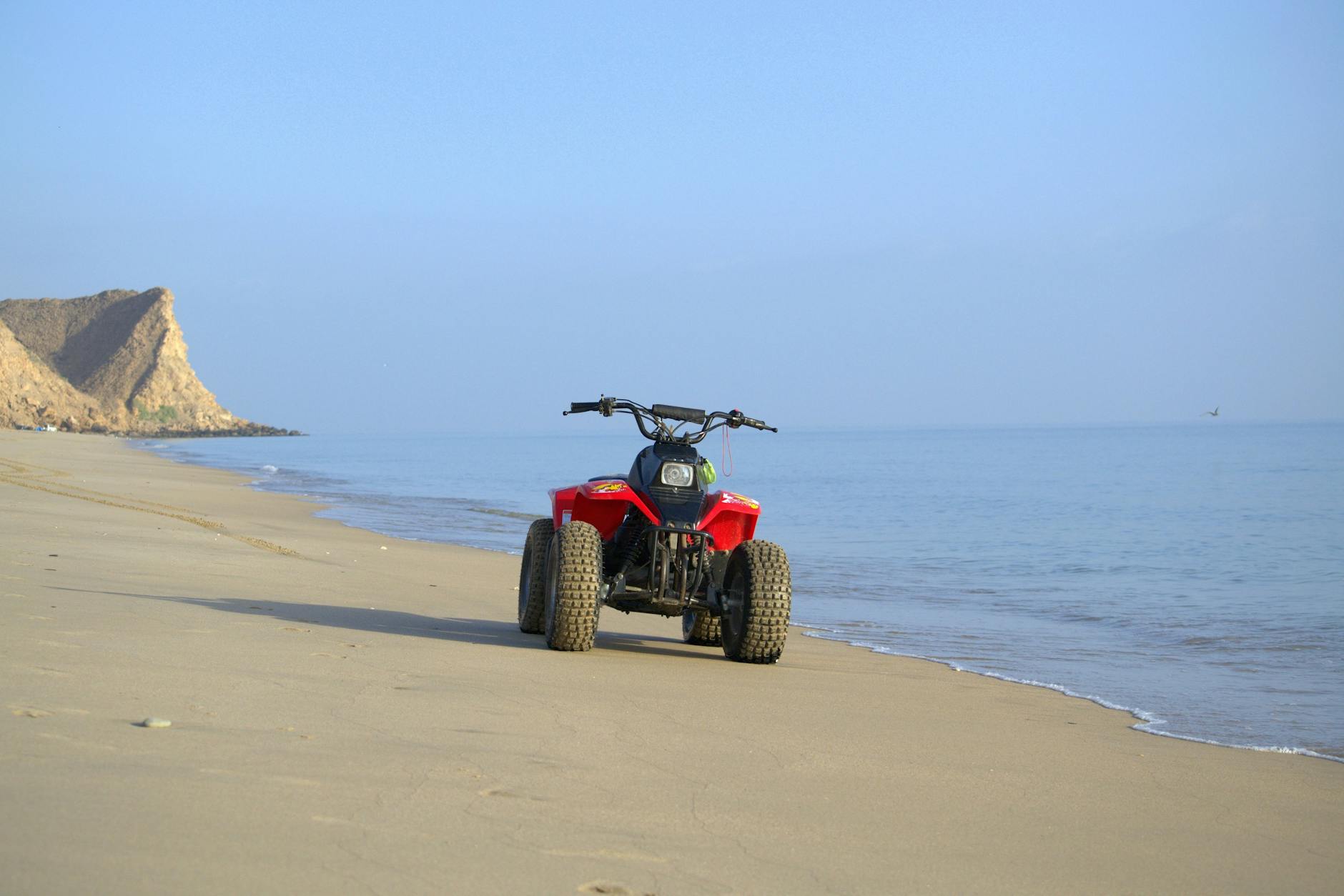 Active Recreation and Excursions: Diving into the World of Fujairah - Fujairah