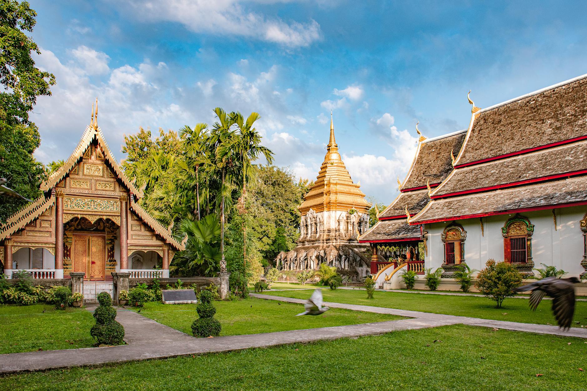 Daily Life and Finances: How Much Does it Cost to Live in Chiang Mai? - Chiang Mai