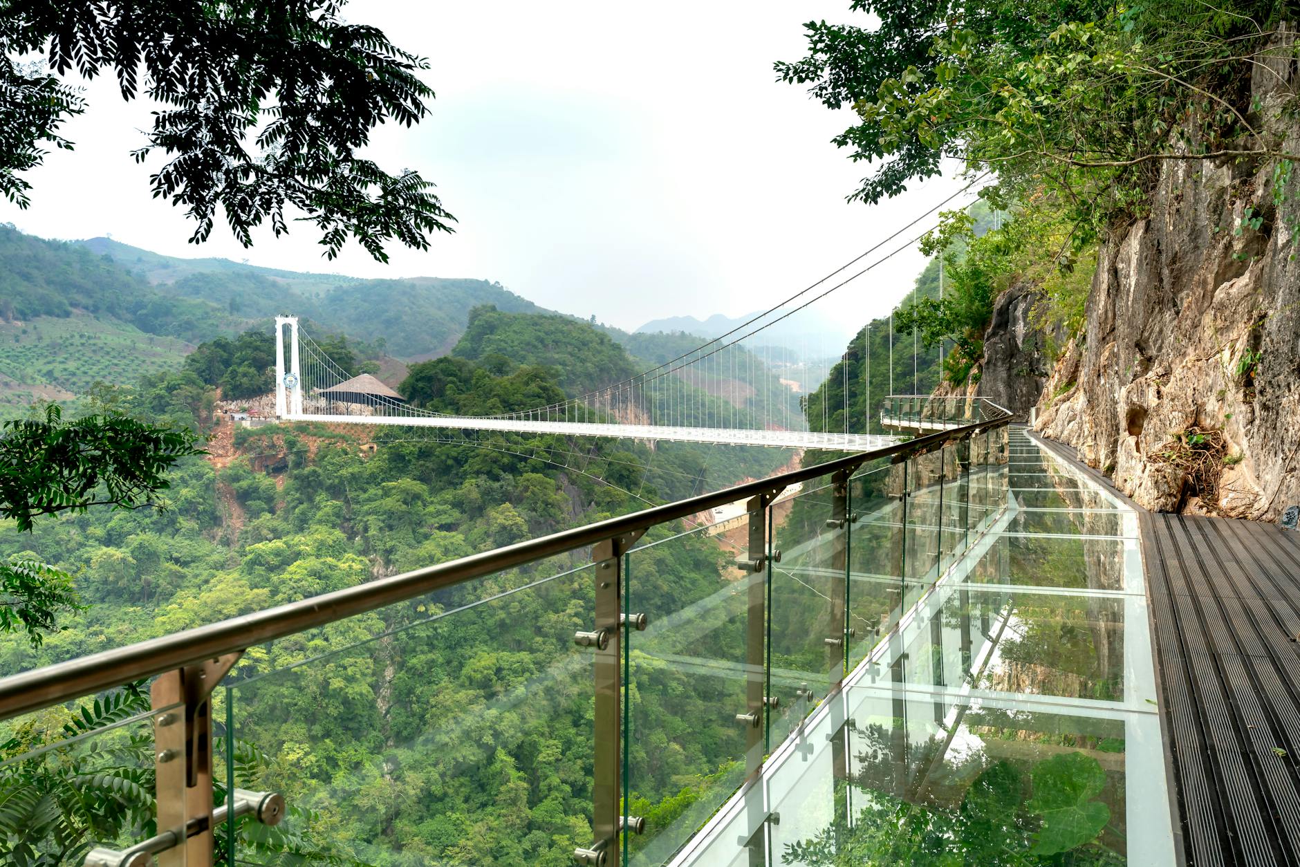 How Much Does the Zhangjiajie Glass Bridge Cost and What You Need to Know - Zhangjiajie