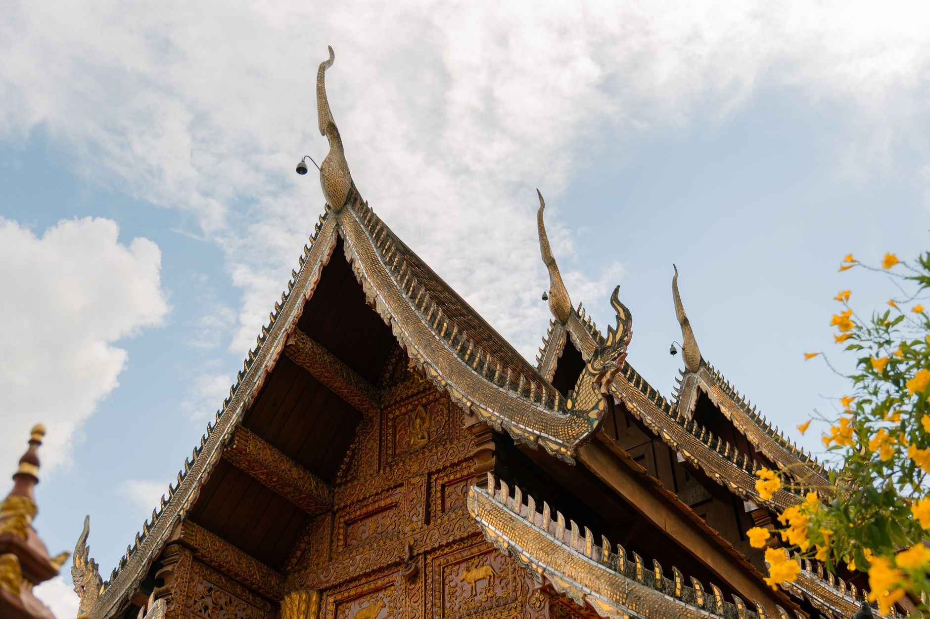 Cultural Discoveries and Temples - Chiang Mai