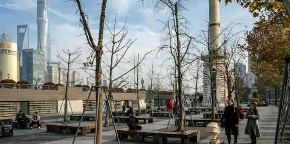 photo Explore Shanghai's Hidden Gems and Authentic Local Experiences