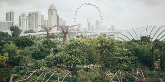 photo How to See Singapore Without Going Broke