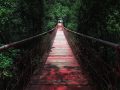 Photo Escape Chongqing: Top Nature Day Trips