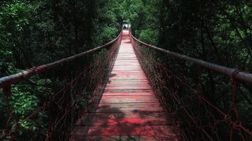 photo Escape Chongqing: Top Nature Day Trips