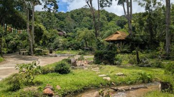 photo Chiang Mai Adventures: Waterfalls, Elephants & Scenic Routes