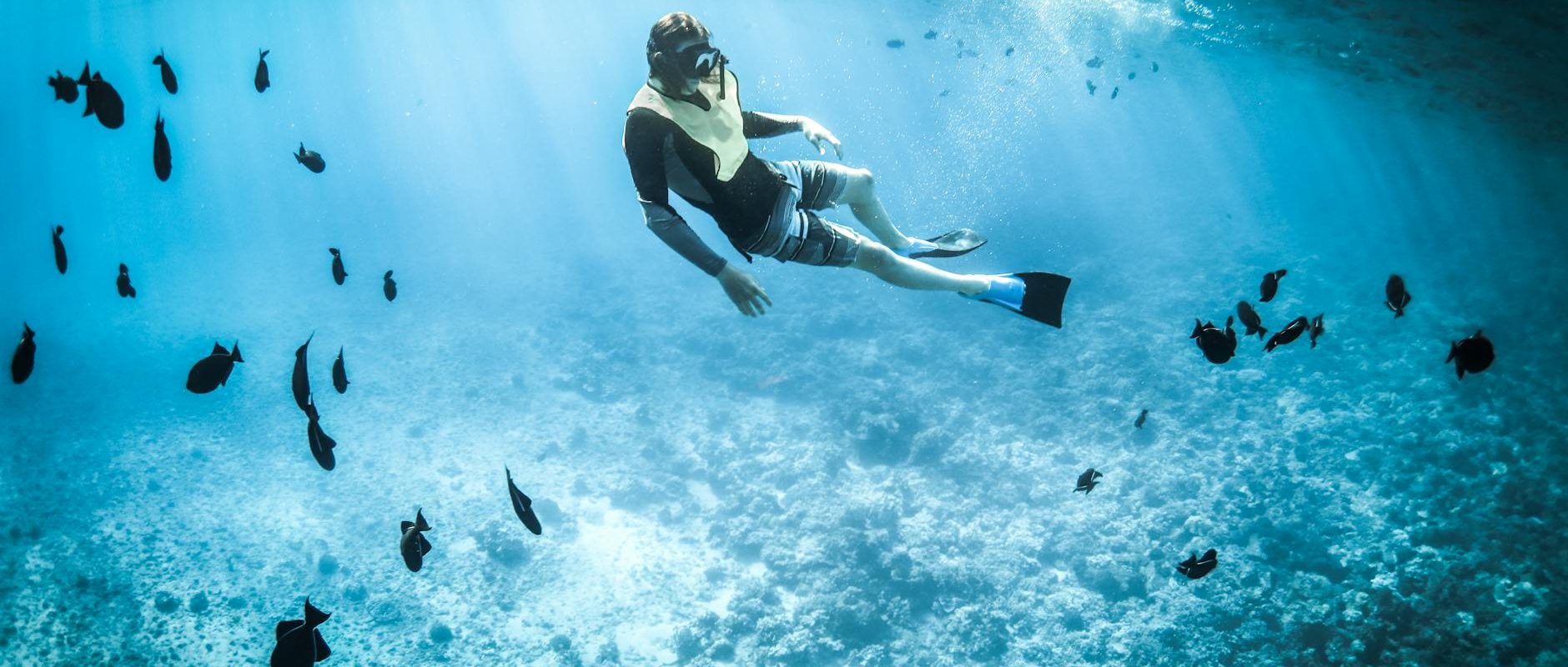 Photo Fujairah's Best Dive & Snorkel Spots