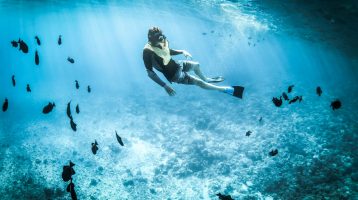 photo Fujairah's Best Dive & Snorkel Spots