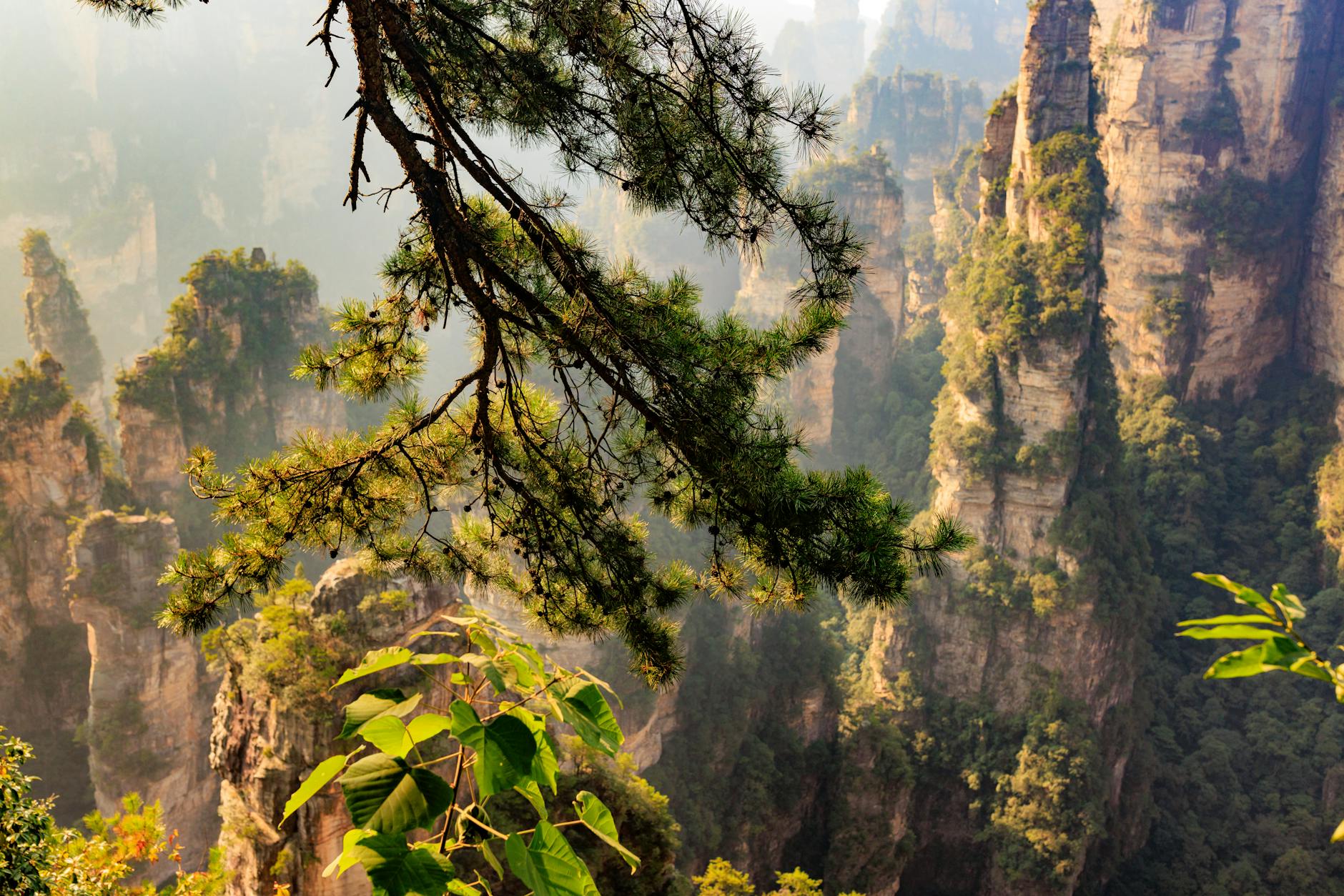 Where's the Best Place to Stay in Zhangjiajie? - Zhangjiajie