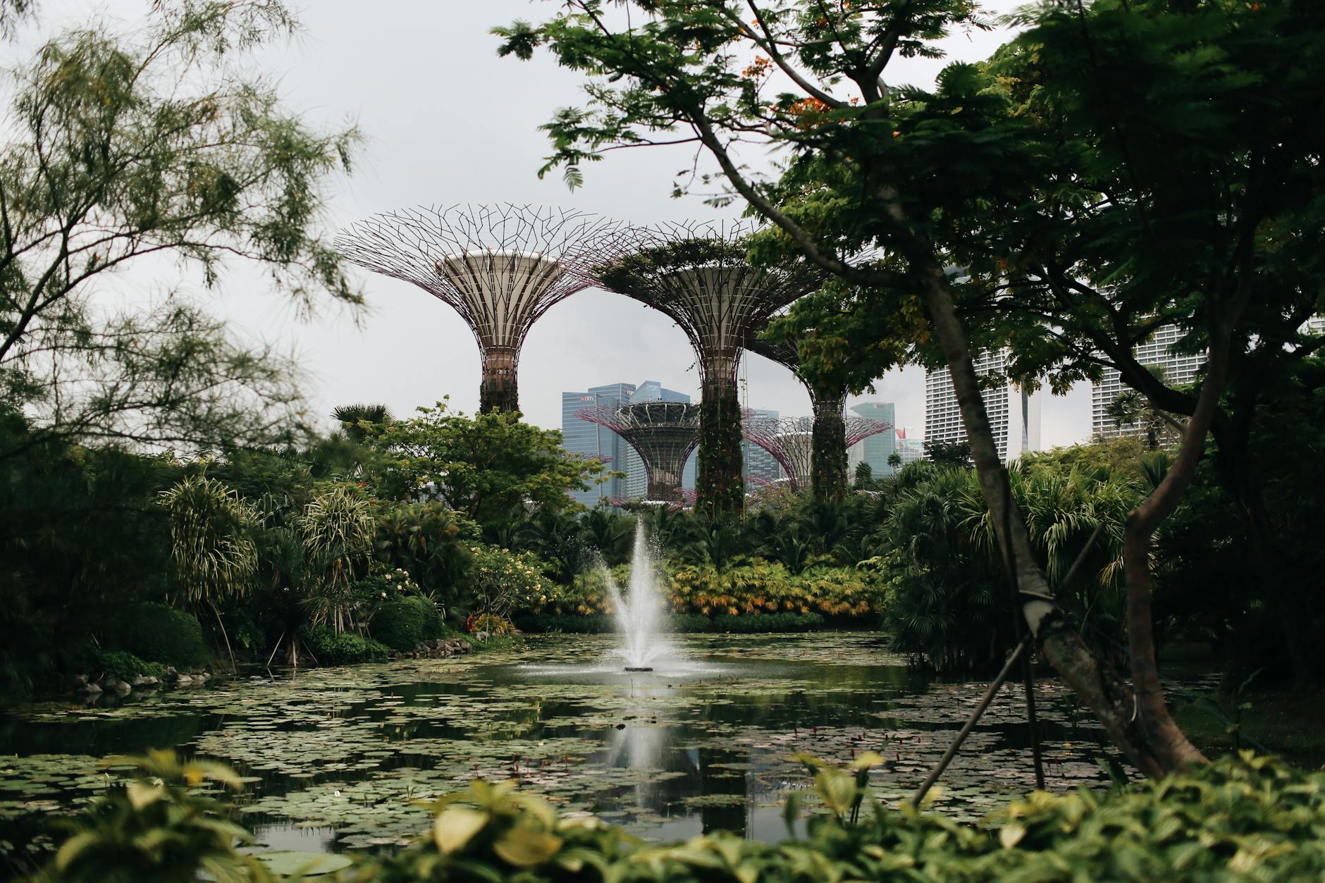 Day: Gardens by the Bay - Singapore