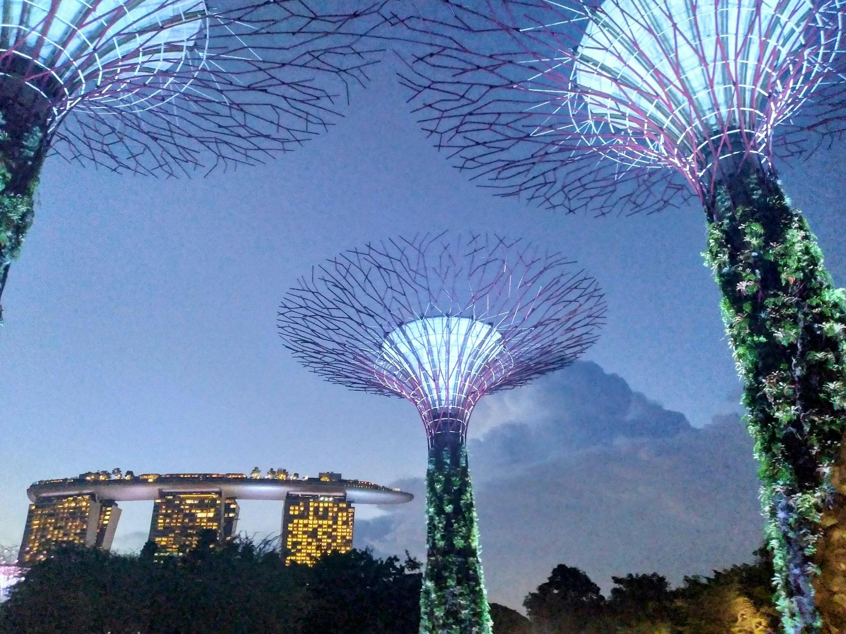 Gardens by the Bay: A Symbiosis of Nature and Technology - Singapore