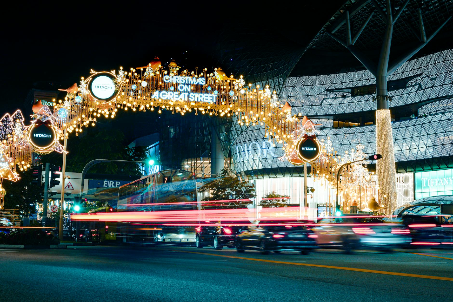 Evening: Shopping on Orchard Road and Dinner - Singapore