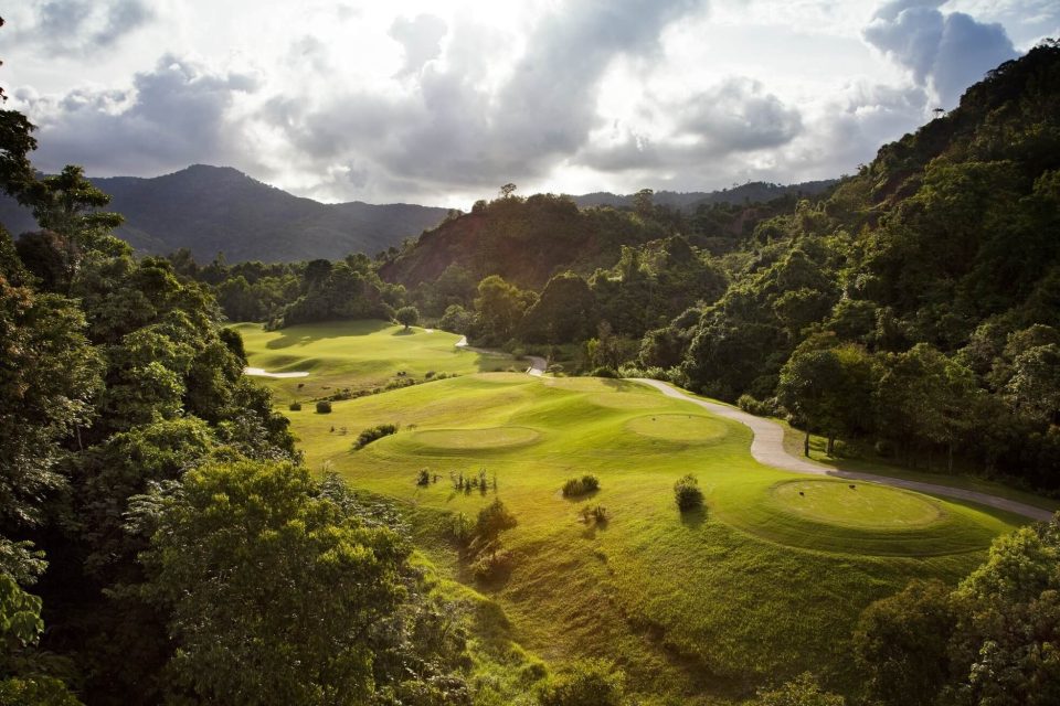 Green golf course with palm trees and a lake