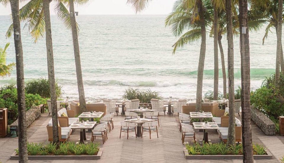 Elegant dining table with gourmet food