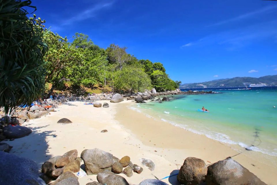 Paradise Beach with palm trees and calm waters