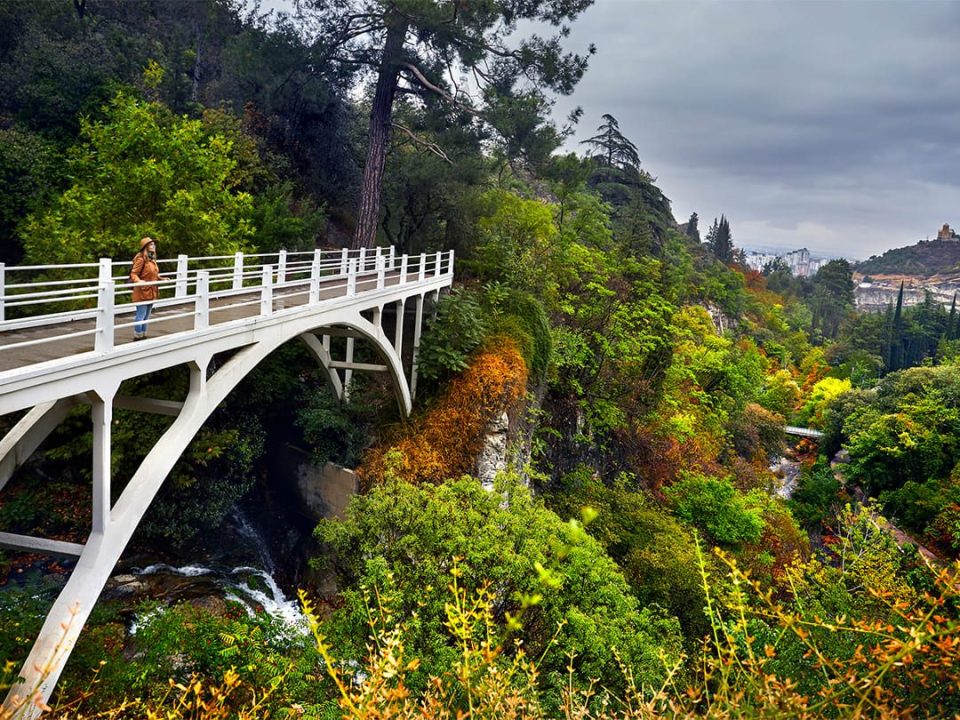 Lush greenery and pathways in Tbilisi Botanical Garden