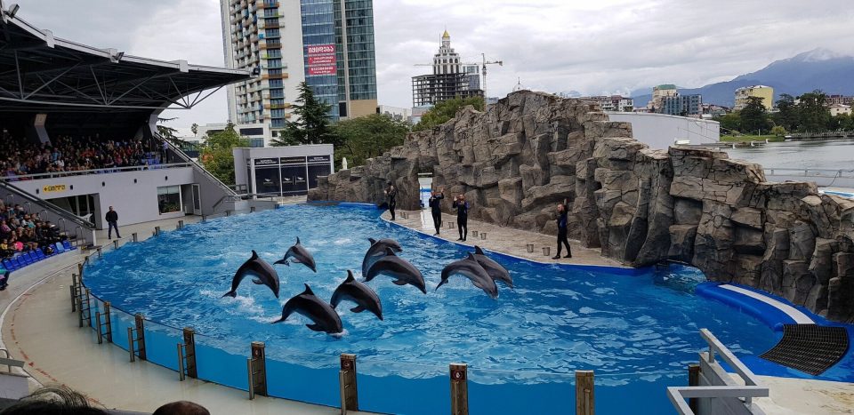 Batumi Dolphinarium