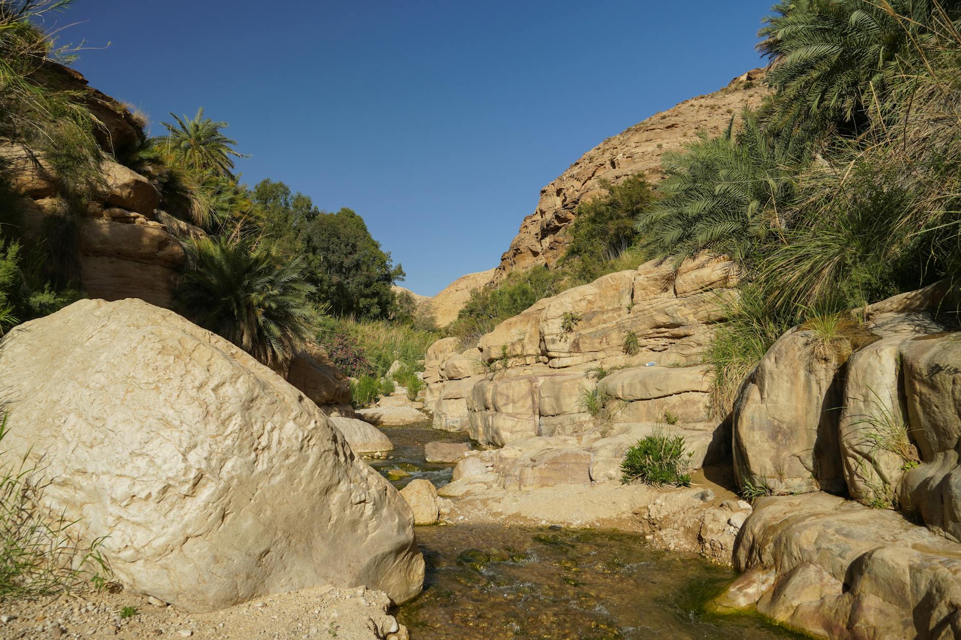 Journey to Neighboring Emirates: From Ras Al Khaimah to Al Ain - Fujairah