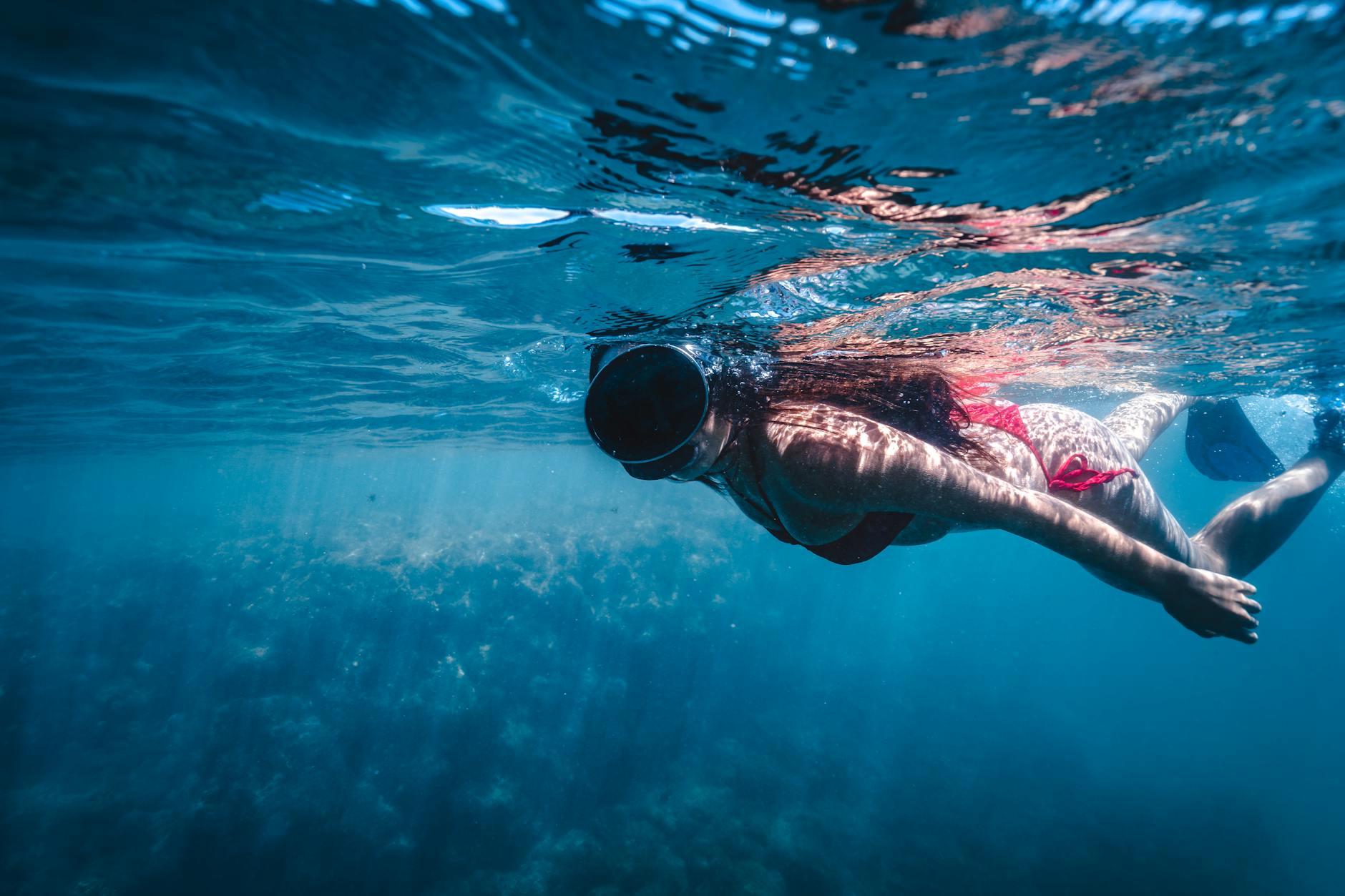 Where's the best snorkeling in Fujairah? - Fujairah