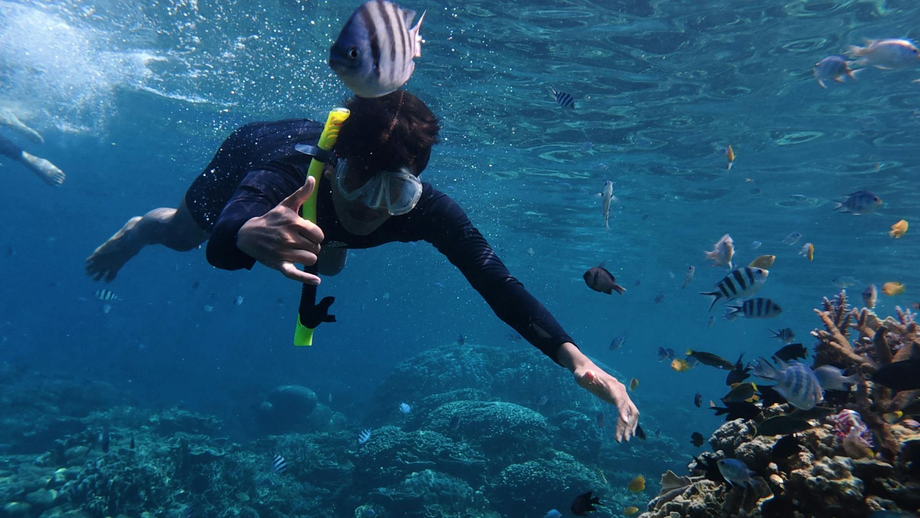 Best Time for Diving and Snorkeling - Fujairah
