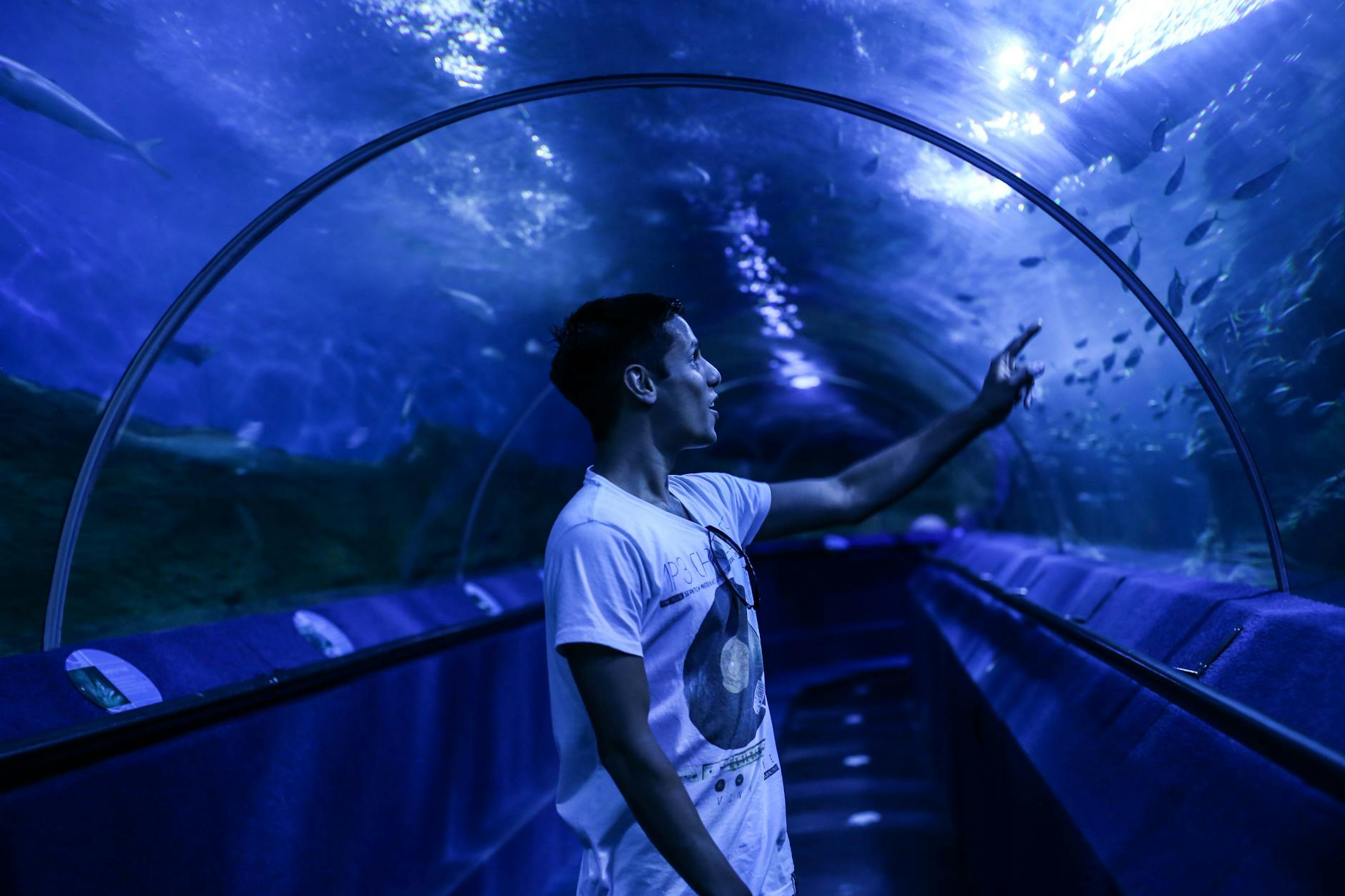 Conclusion: My Impressions of Fujairah's Underwater World - Fujairah