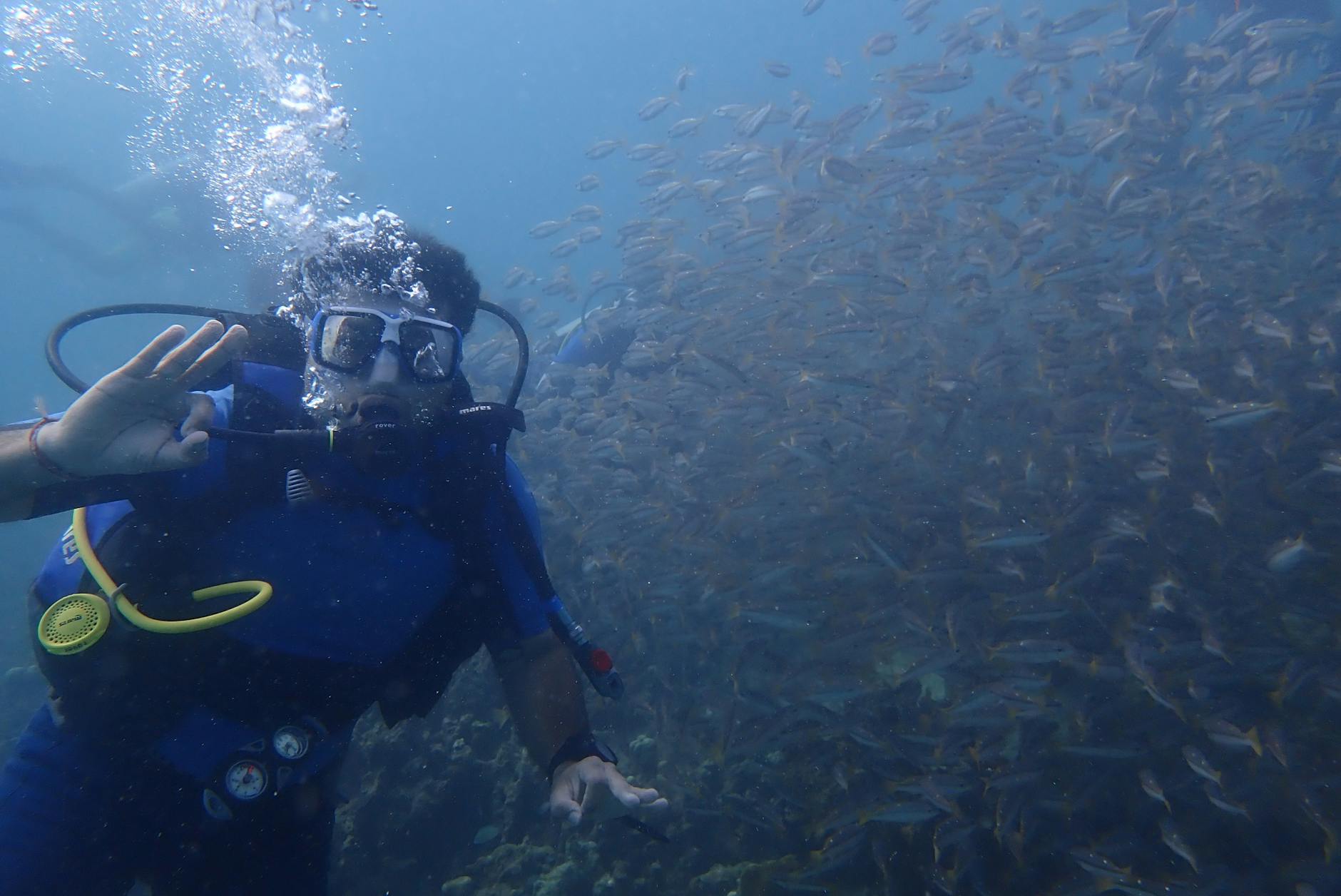 How Fujairah differs from other UAE dive destinations? - Fujairah
