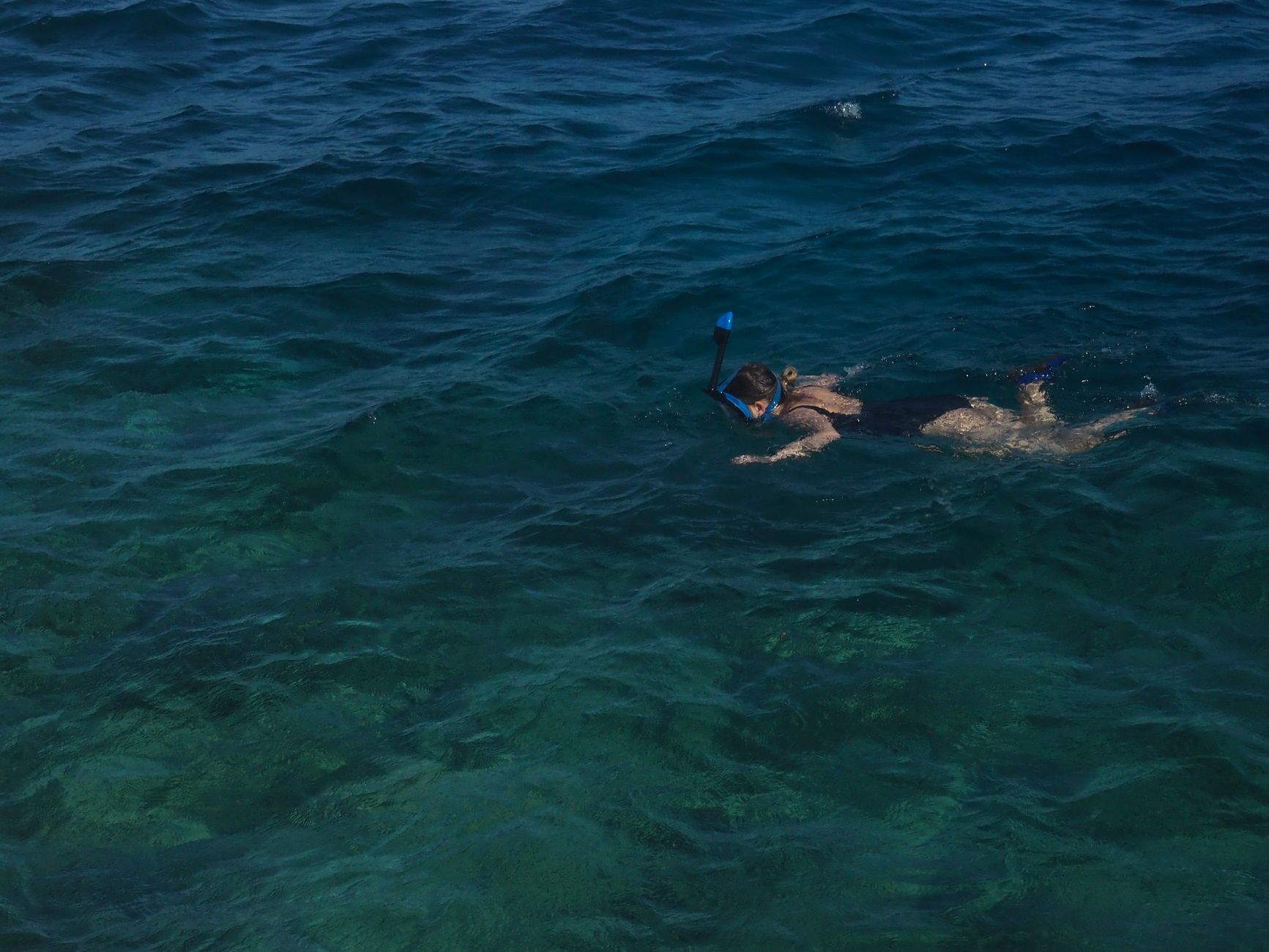 Snorkeling in Fujairah: Beauty on the Surface - Fujairah