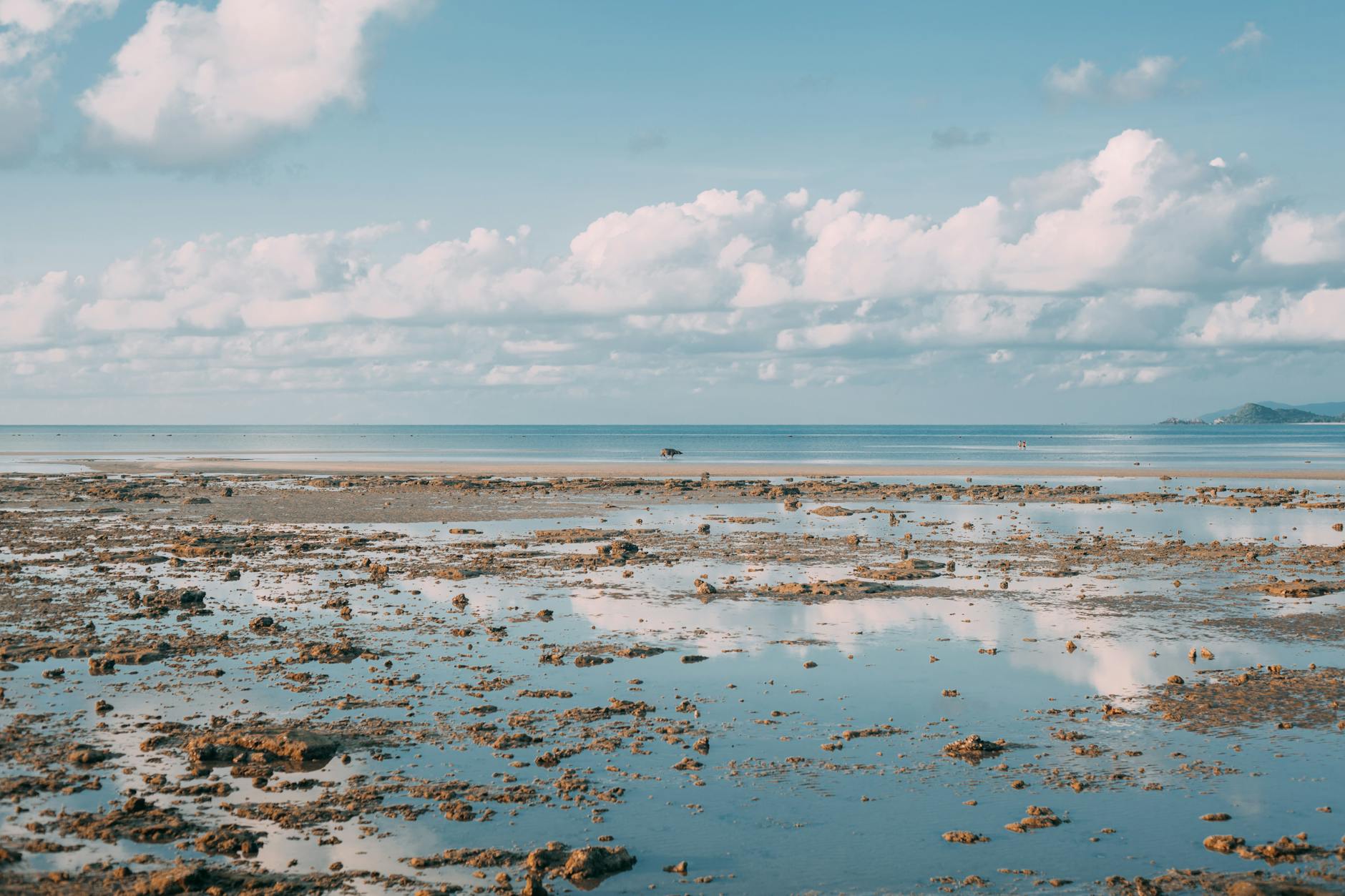 Active recreation and adventures - Koh Samui