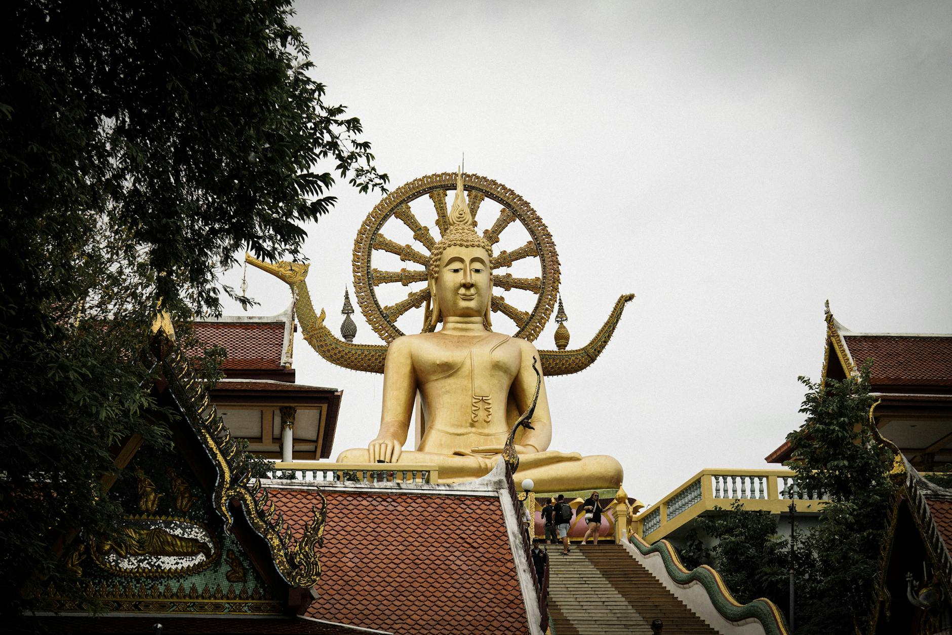 Big Buddha and Beyond - Samui