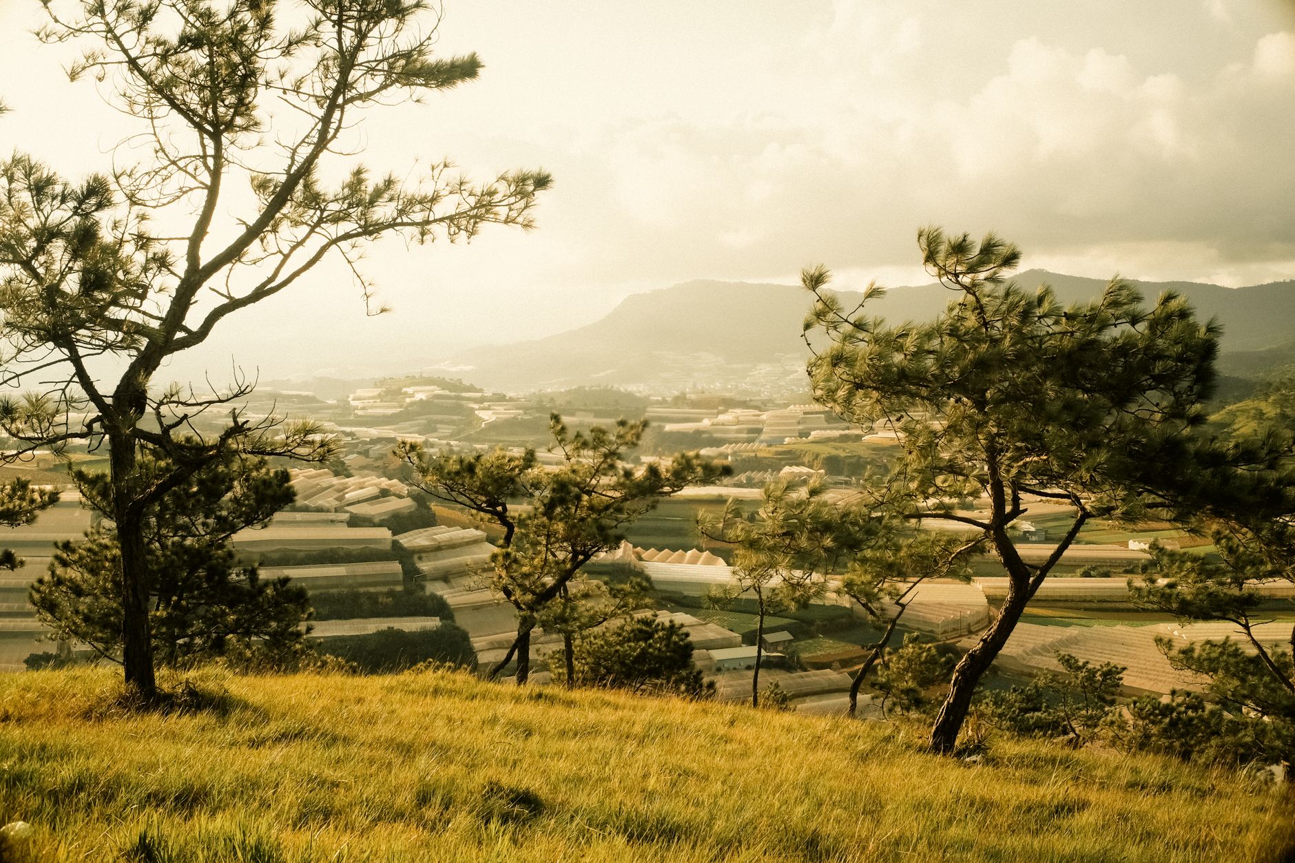 Dalat, a hill town 135 km from Nha Trang