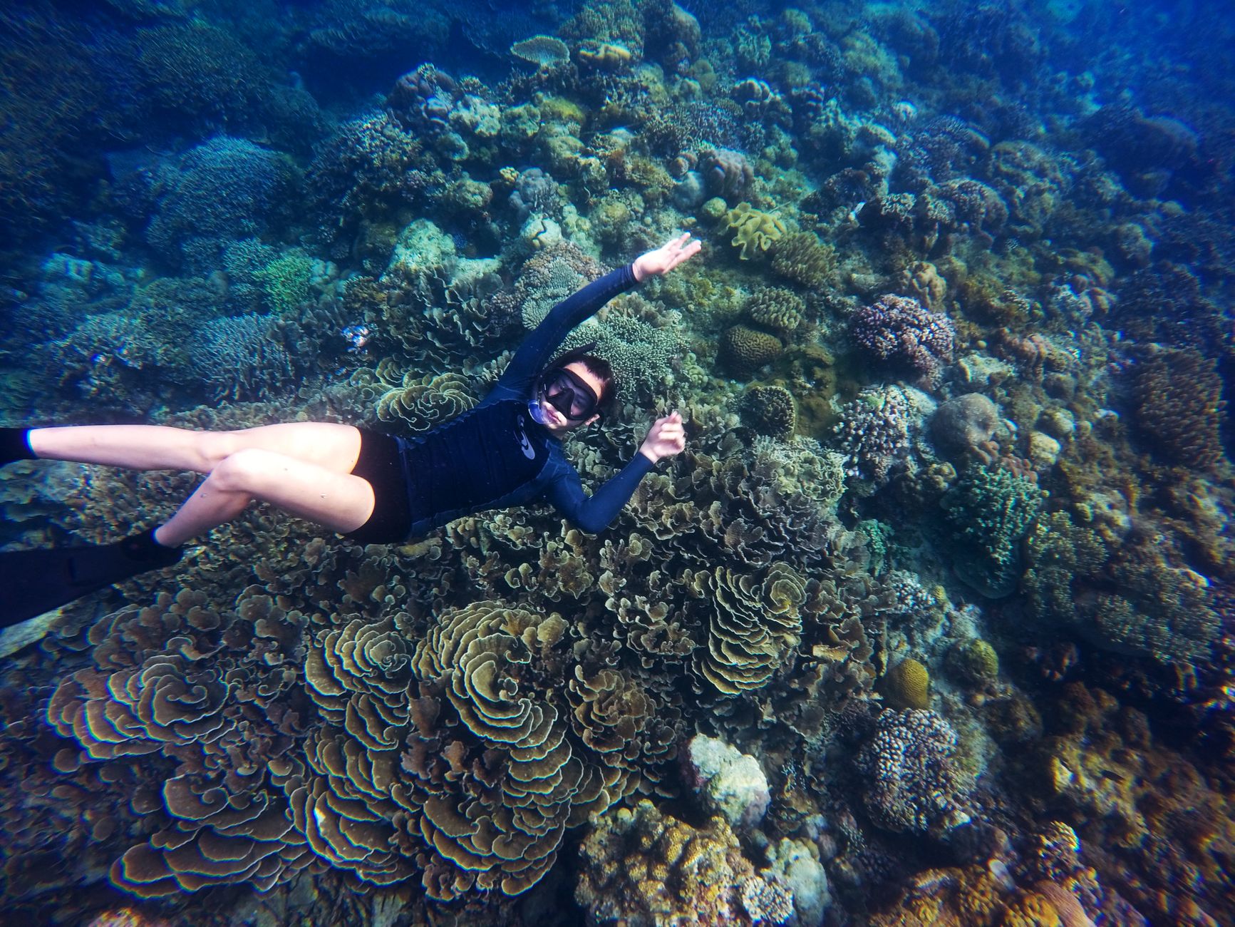 Coral off Hon Mun island