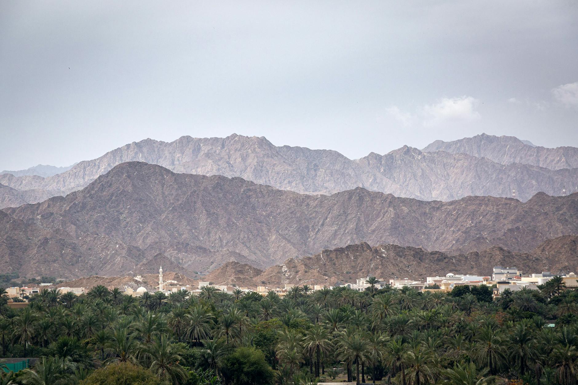 For beginners: Wadis and historic trails - Fujairah
