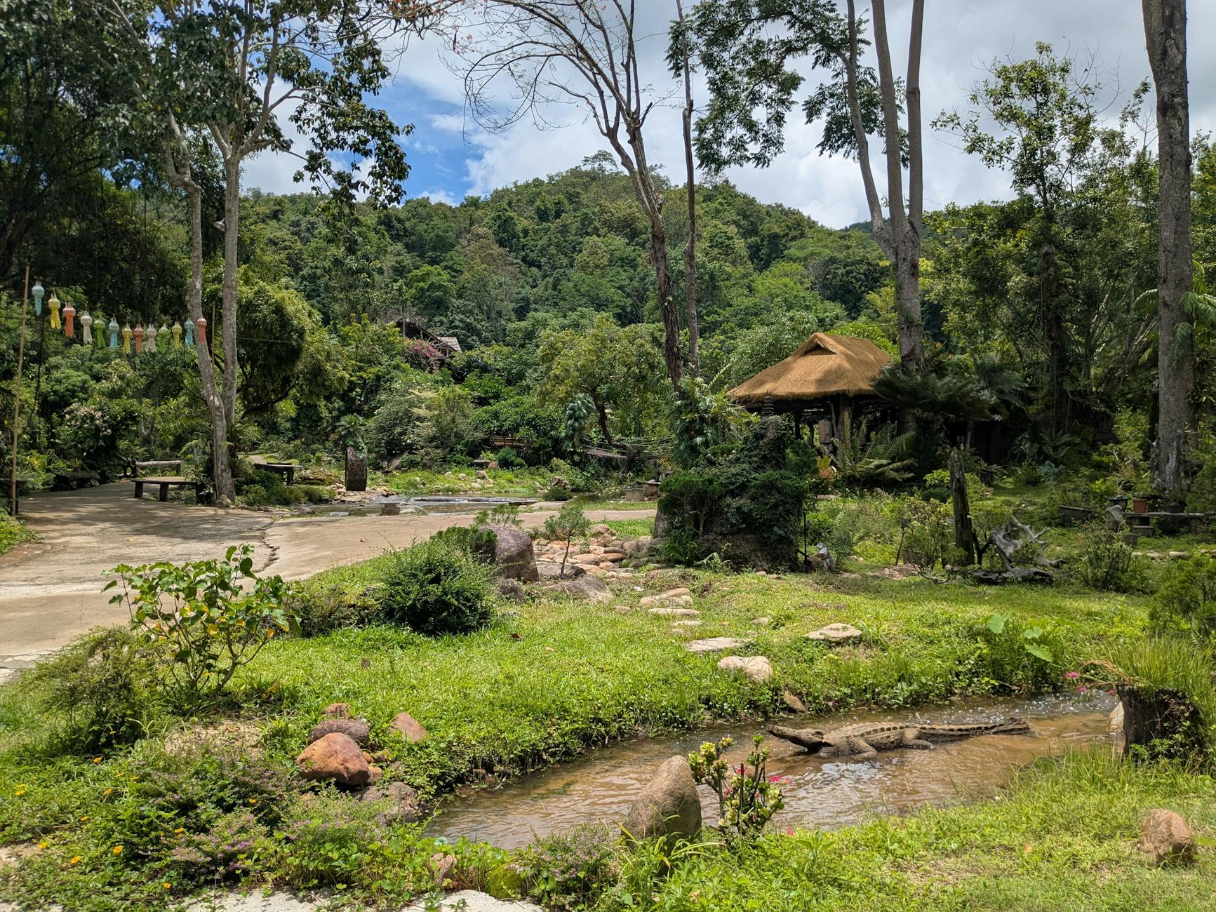 Climate and Nature - Chiang Mai