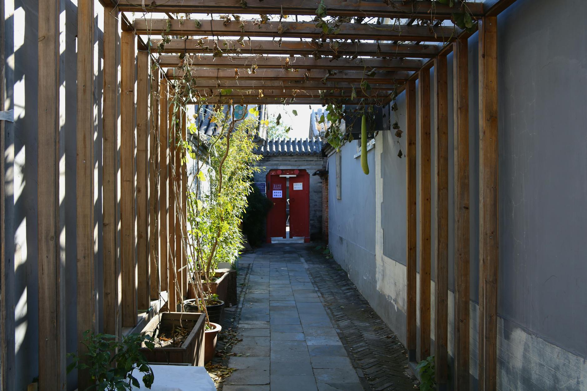 Practical tips for hutong explorers - Beijing