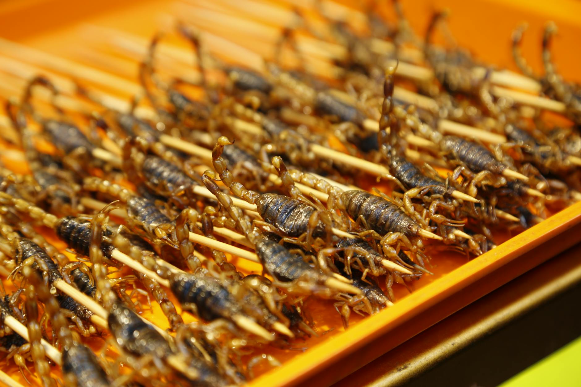 Shanghai World Cuisines: The Global Flavor of a Megacity - Shanghai