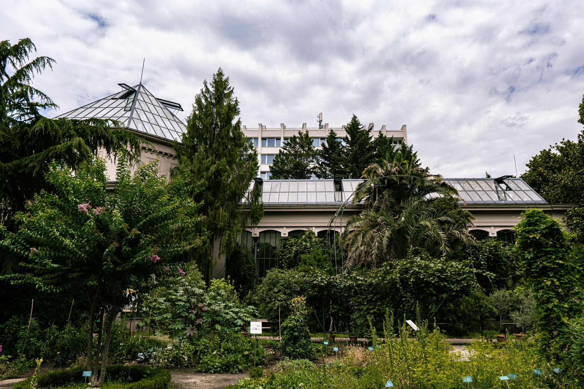 The botanical garden below the walls - Tbilisi